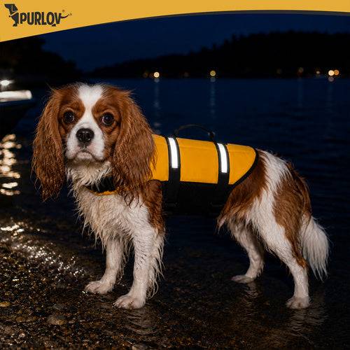 Gilet de sauvetage pour chien - Taille M Purlov - Image 6