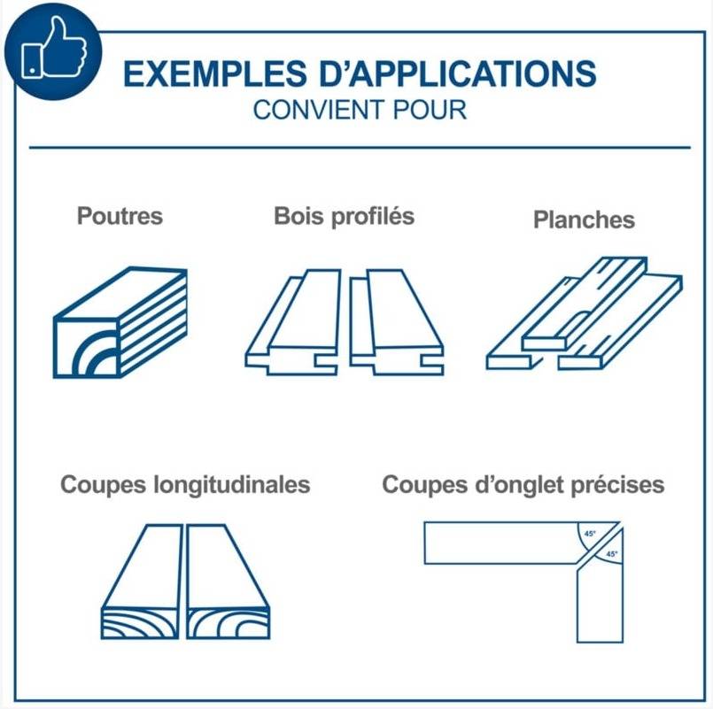 Scheppach - Scie circulaire sur table HS100S - Puissance 2000 W - Lame Ø 250 x 30 mm - Hauteur de coupe max 85 mm - Dimensions de la table 940 x 642 mm - SCHEPPAC - Image 6