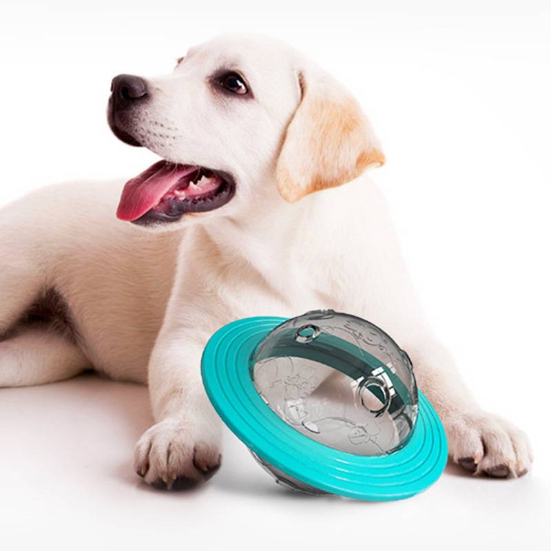 Distributeur de Nourriture Jouet pour Chien/Chiot/Chat Bleu - DtopbuyAge - Image 3