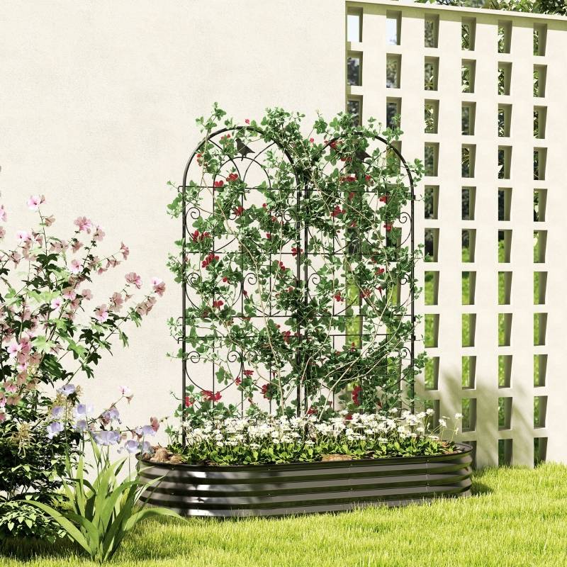 Treillis pour plantes grimpantes métal noir 50 x 1.3 x 150 cm - PANGIVO - Image 2