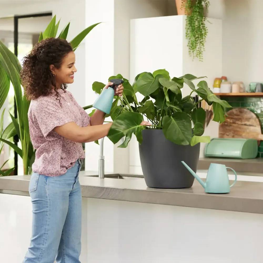 Elho - Vaporisateur à plantes 0,7 L Elho Elho - Image 2