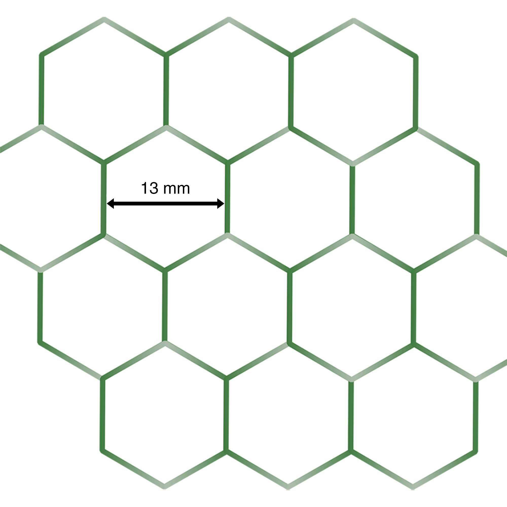 Grillage plastifié mailles hexagonales de 13mm WERKA PRO - 0,5 x 10m - Image 4