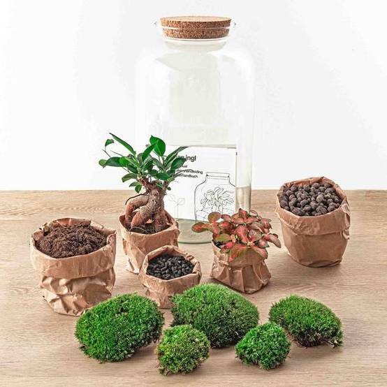 Diy Terrarium - D43 H43cm - Image 3