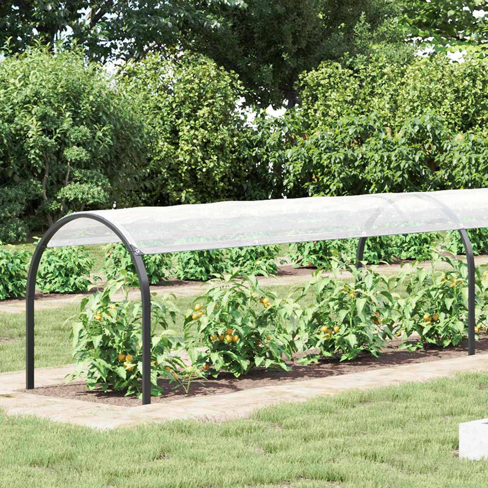 PANGIVO - Couverture pour plantes polyéthylène transparent 2000 x 150 cm, poids:5.05kg - PANGIVO - Image 1