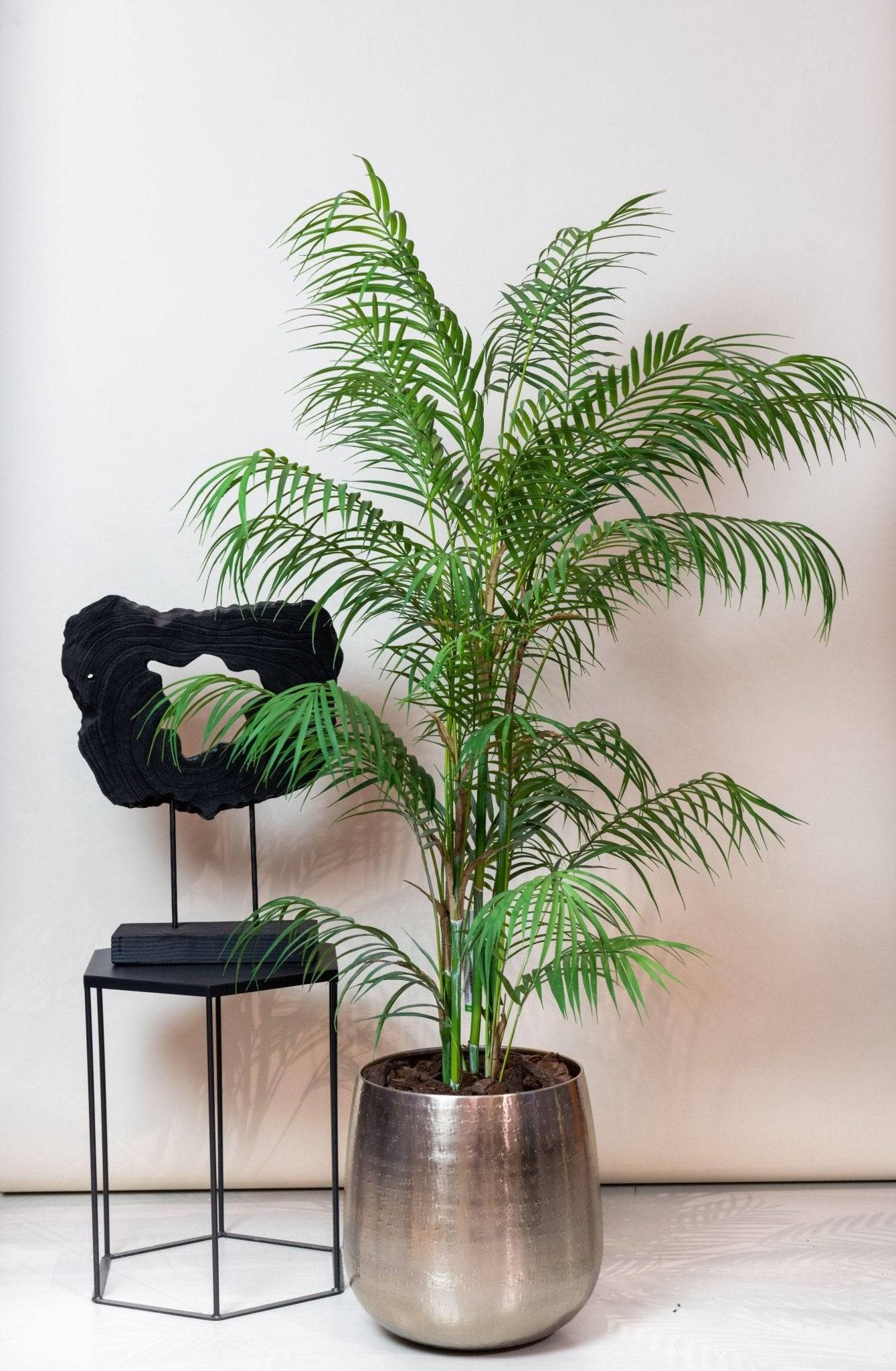 La Green Touch - Chamaedorea Elegans plante artificielle - h120cm, Ø12cm- La Green Touch - Imagen 5