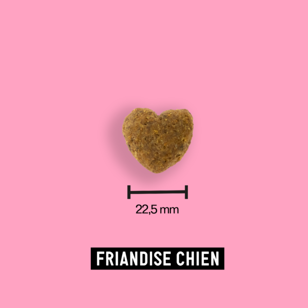 Friandise Moush chien santé bucco-dentaire 100g (X3) - Tomojo - Image 2