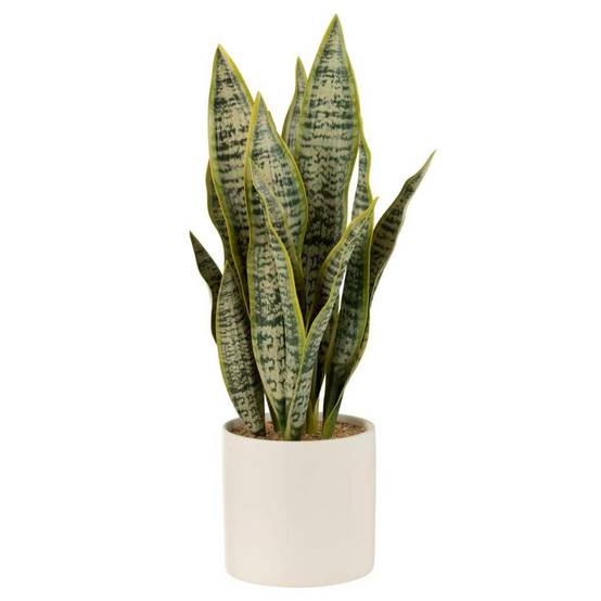 Plante Artificielle en Pot "Sansevieria" 49cm Vert - Image 1