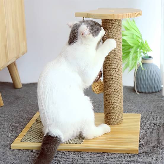Corde En Sisal Naturel Ficelle Arbre à Chat Jouet Pour Chat Longueurs 10000x0 8cm 95997658 Corde En Sisal Naturel Ficelle Arbre à Chat Jouet Pour Chat Longueurs 10000x0 8cm 95997658