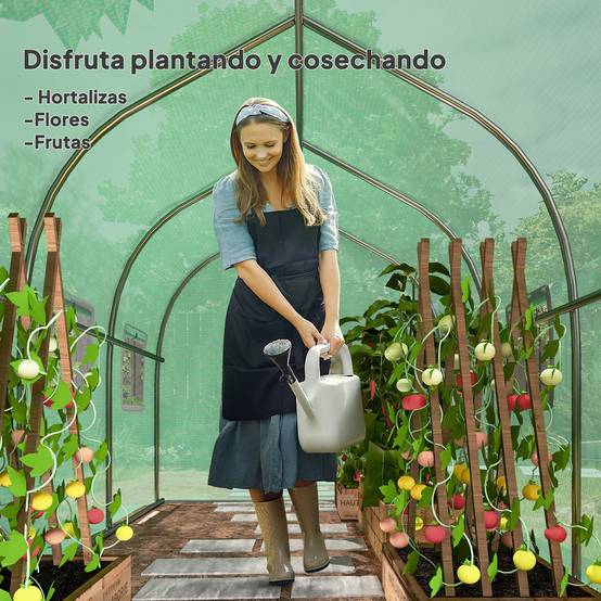 Serre Tunnel de Jardin 6m² Acier Galvanisé avec 6 Fenêtres et Porte Enroulable Vert - ComfortXL Outdoor Living - Image 9