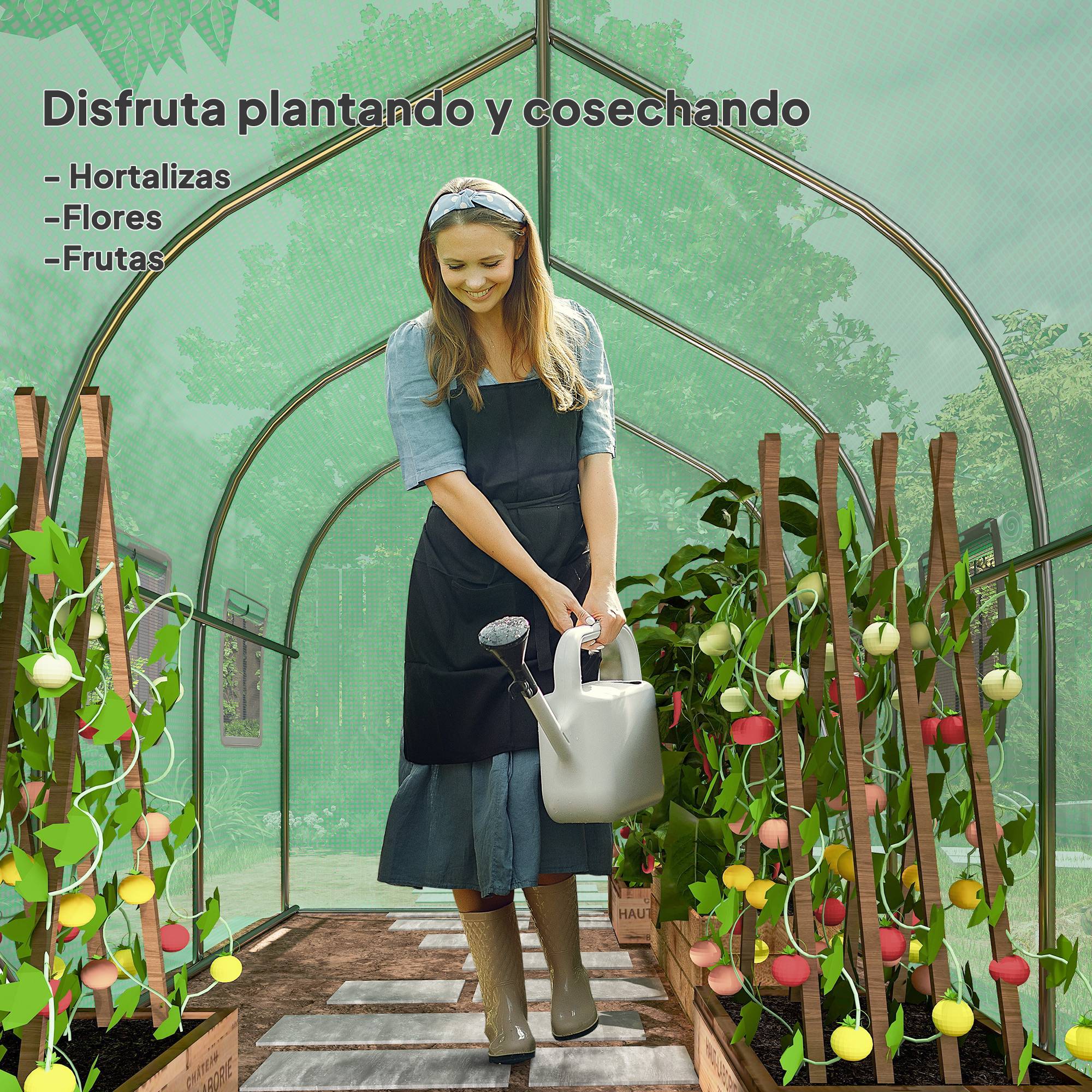 Serre Tunnel de Jardin 6m² Acier Galvanisé avec 6 Fenêtres et Porte Enroulable Vert - ComfortXL Outdoor Living - Image 9