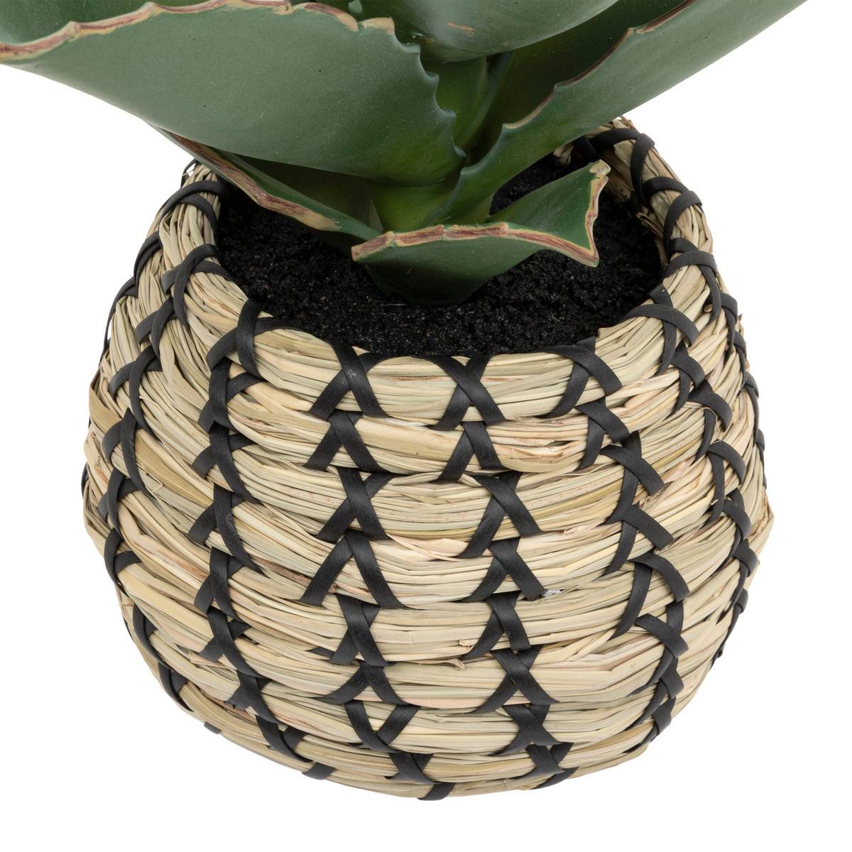 Plante artificielle Samouraï dans un pot tressé à la main H 26 cm - Image 3