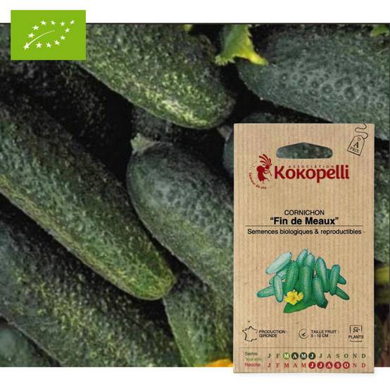 Cornichon Fin de Meaux- Graines bio à semer - Image 1