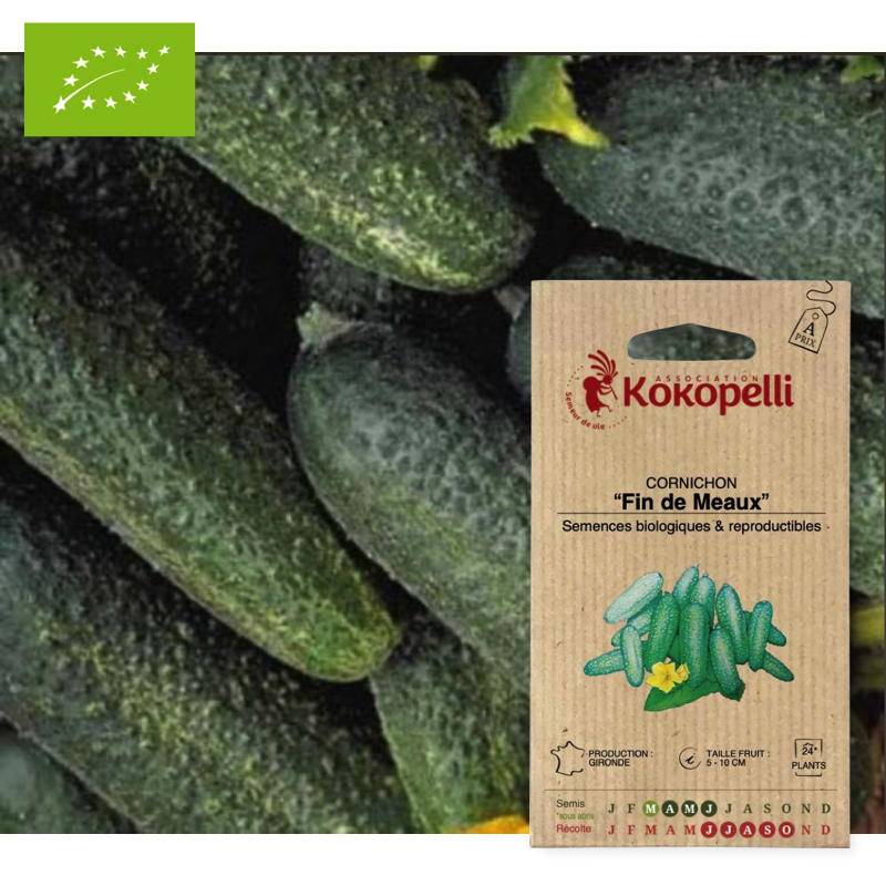Cornichon Fin de Meaux- Graines bio à semer - Imagen 1