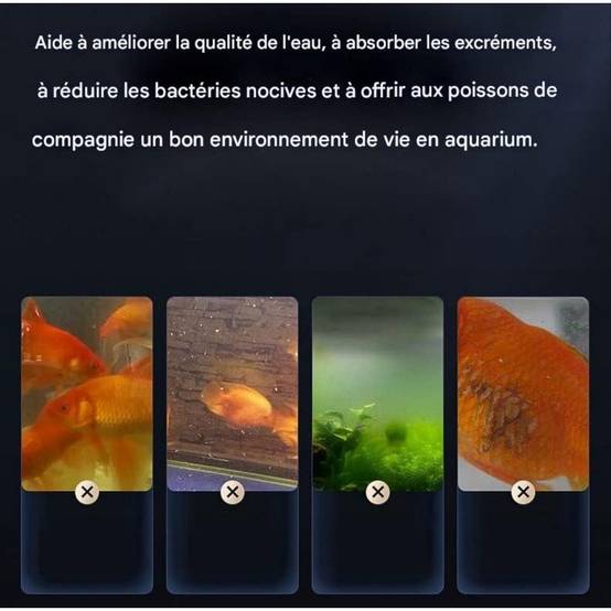 Blocs filtrants en céramique pour aquarium - Lytech - Image 4
