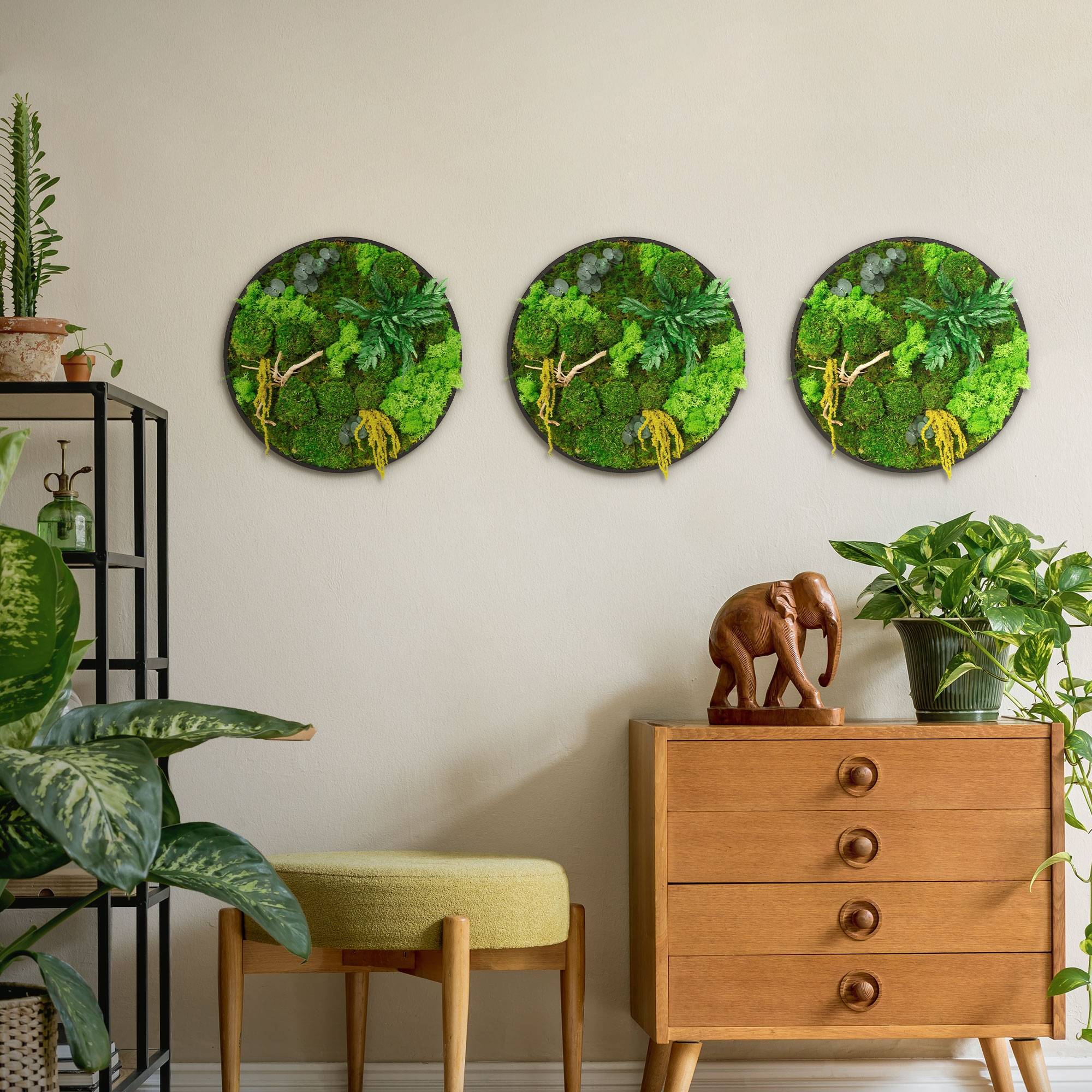 Ecd-Germany - Tableau végétal mural stabilisé, Ø 40 cm, mélange de mousses avec eucalyptus, fougères et bois naturel, effet 3D, décoration d'intérieur, style jungle - Image 9