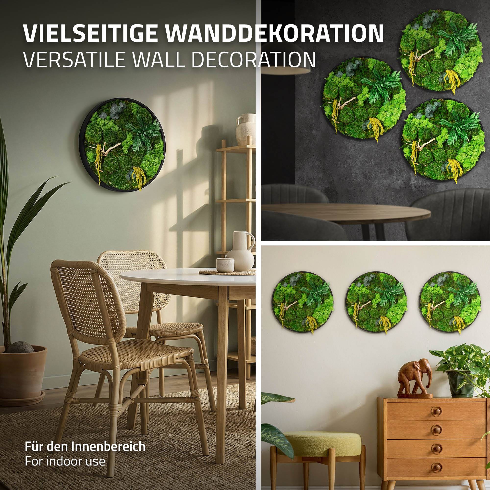 Ecd-Germany - Tableau végétal mural stabilisé, Ø 40 cm, mélange de mousses avec eucalyptus, fougères et bois naturel, effet 3D, décoration d'intérieur, style jungle - Image 5