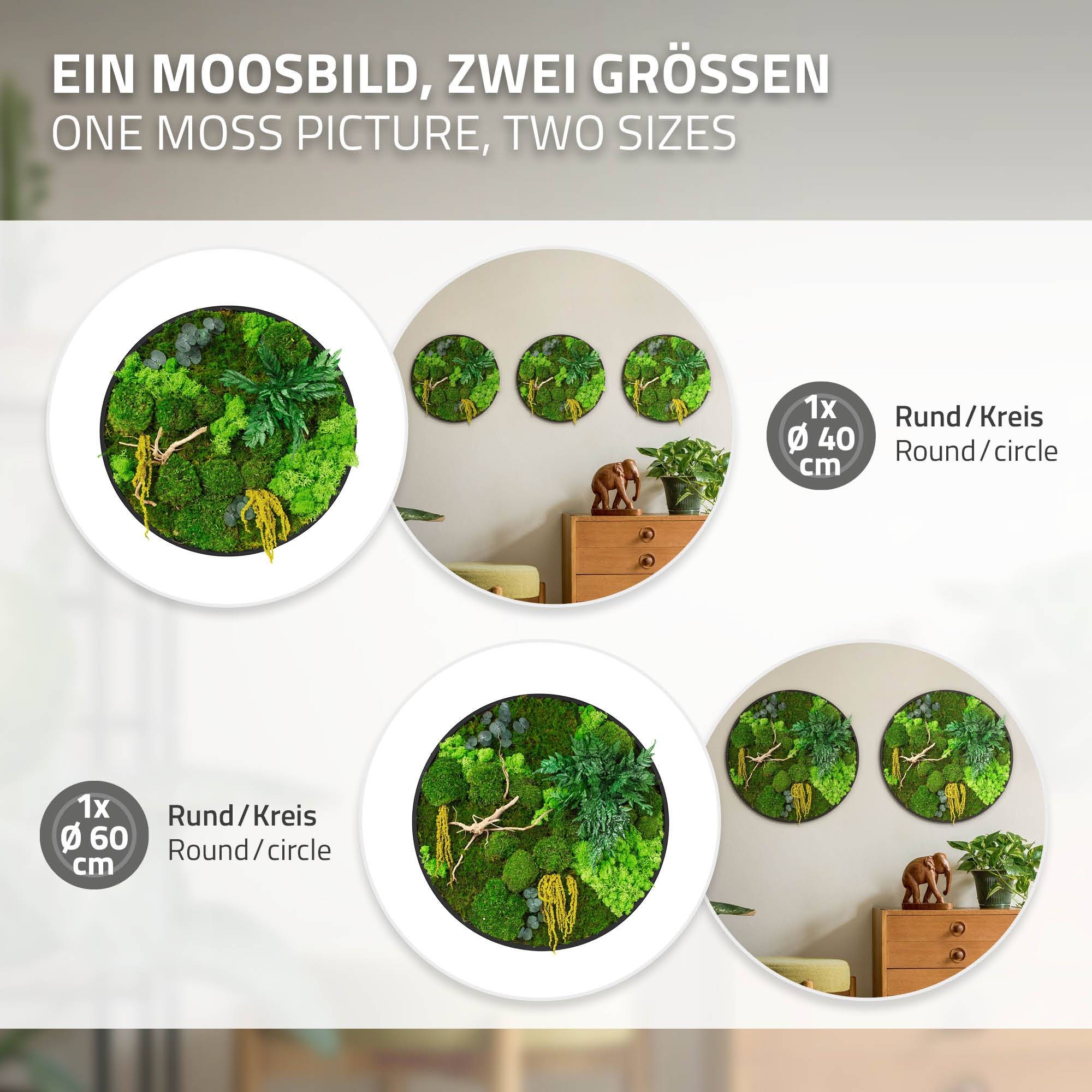 Ecd-Germany - Tableau végétal mural stabilisé, Ø 40 cm, mélange de mousses avec eucalyptus, fougères et bois naturel, effet 3D, décoration d'intérieur, style jungle - Image 6