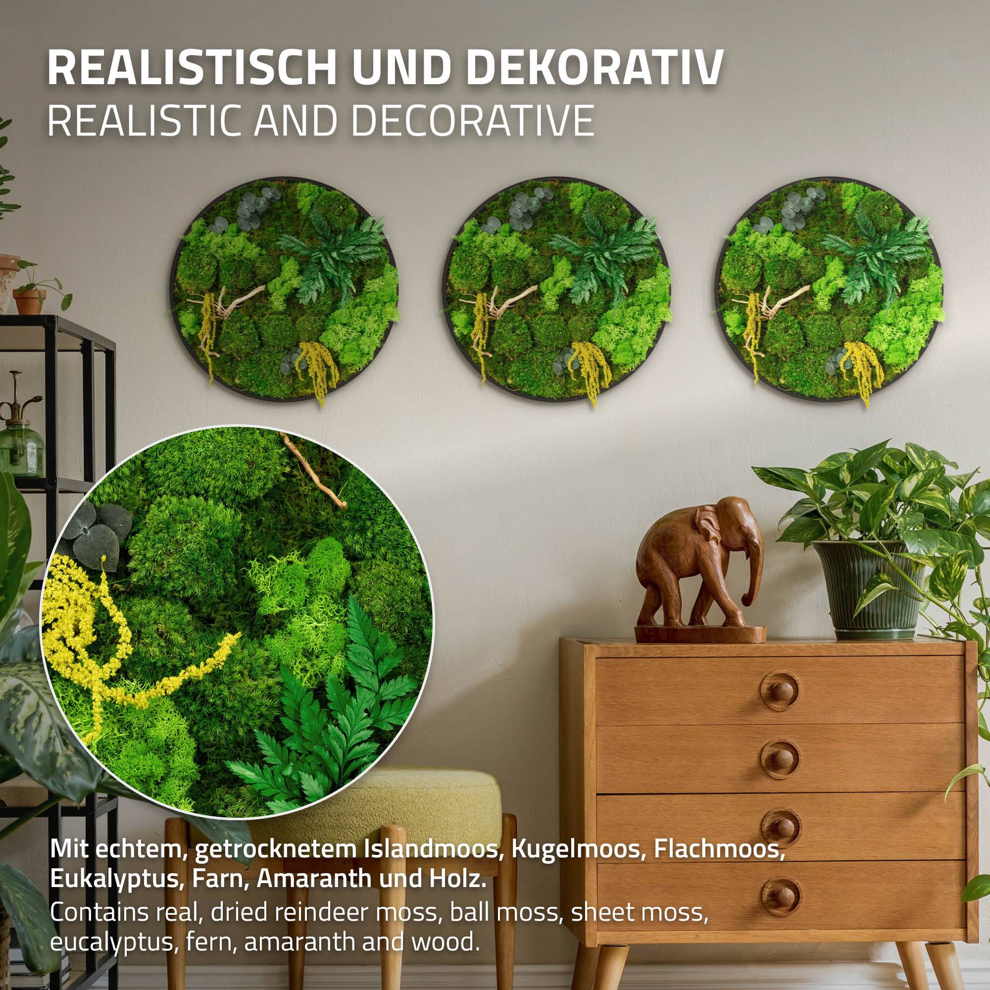 Ecd-Germany - Tableau végétal mural stabilisé, Ø 40 cm, mélange de mousses avec eucalyptus, fougères et bois naturel, effet 3D, décoration d'intérieur, style jungle - Image 3