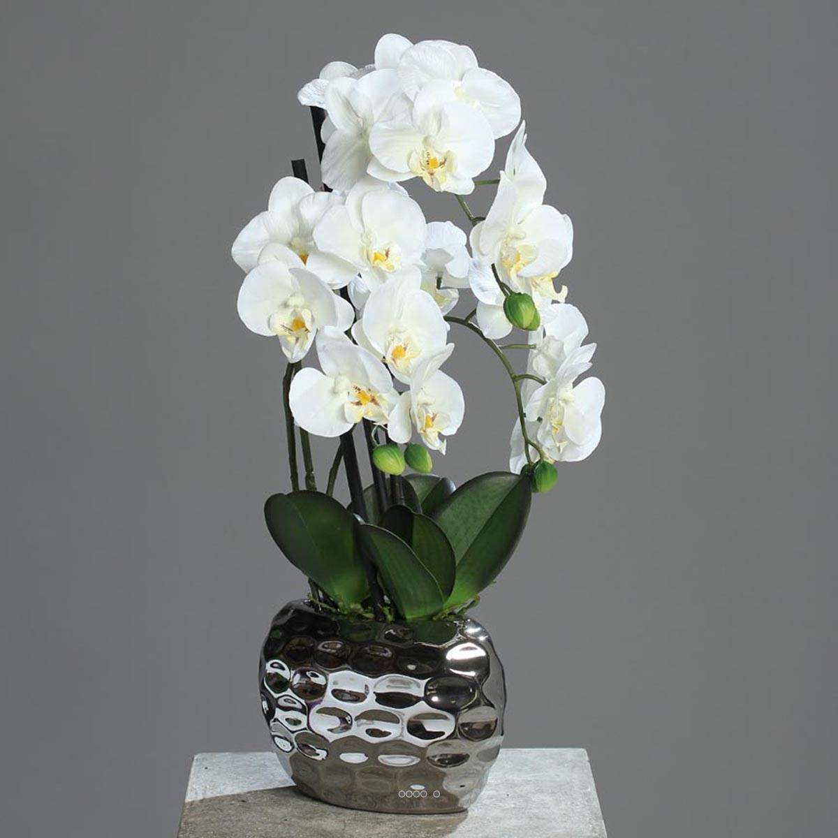 Artificielles - Orchidee artificielle 3 hampes en pot ceramique Argent H 55 cm Crème - couleur: Crème - Imagen 2