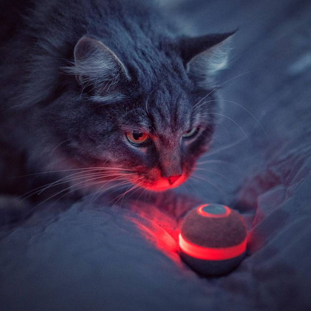 Cheerble Ball M1, Balle auto-roulante pour chat - Imagen 4