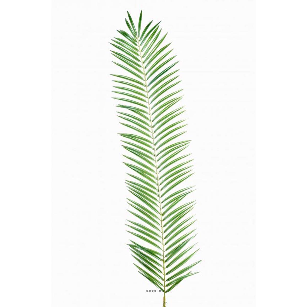 Artificielles - Feuille de palmier Cycas artificielle en tergal H 110 cm Vert