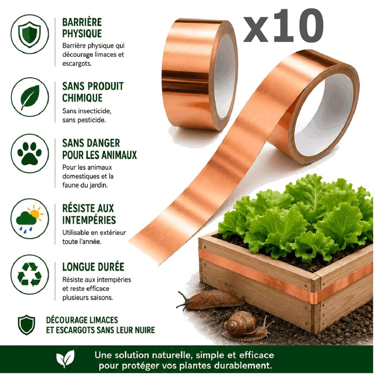 Tout pour les nuisibles - 10 Rubans de Cuivre Anti-Limaces et Escargots SOLU'LIMACES – Barrière Physique Adhésive pour Potager, Jardinières, Pots et Bacs de Culture – 4mx3cm - Image 2