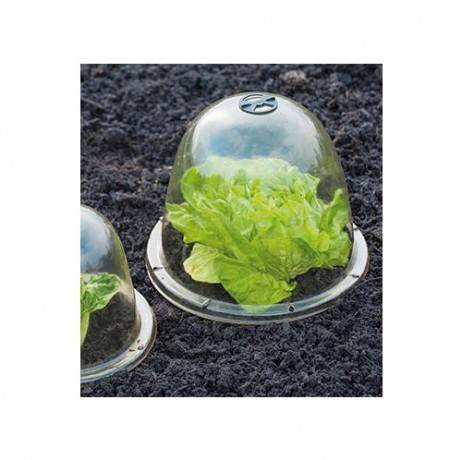 Cloche de jardin en plastique transparent - Lot de 3, Diamètre Ø25.5 cm - Image 2