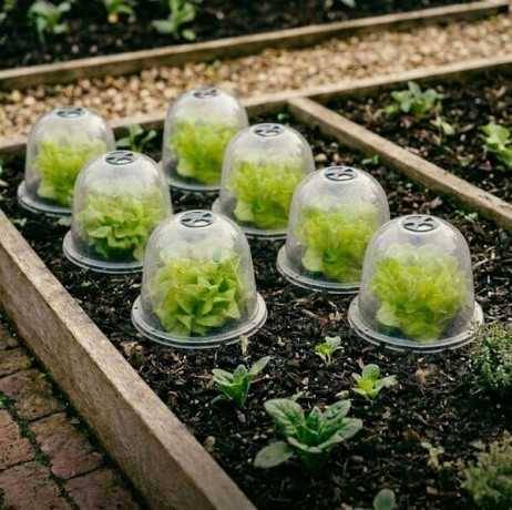 Cloche de jardin en plastique transparent - Lot de 3, Diamètre Ø25.5 cm - Image 3