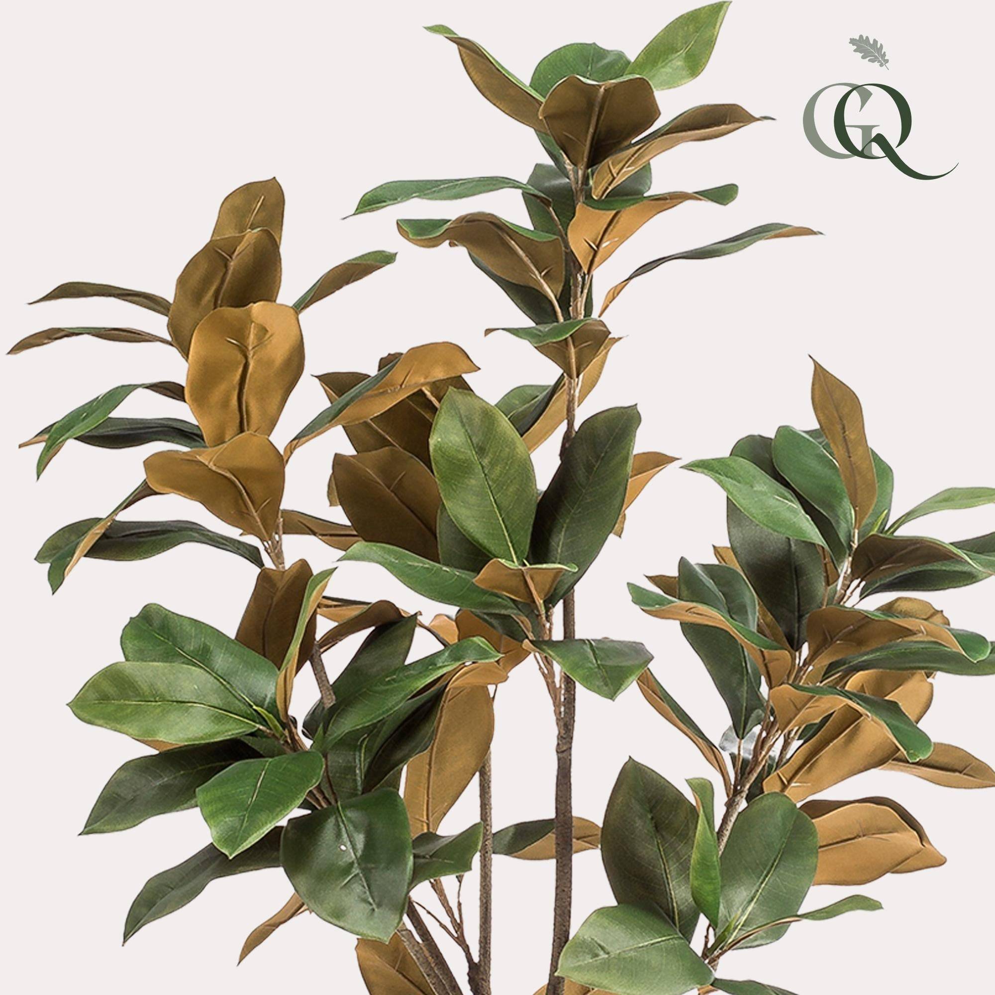 La Green Touch - Magnolia Grandiflora plante artificielle - h150cm, Ø15cm- La Green Touch - Imagen 2