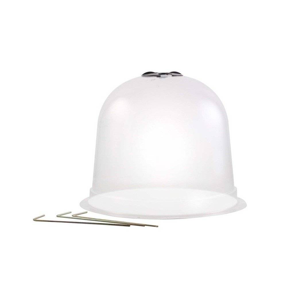 Cloches à salades plastique - Lot de 72 - Image 2