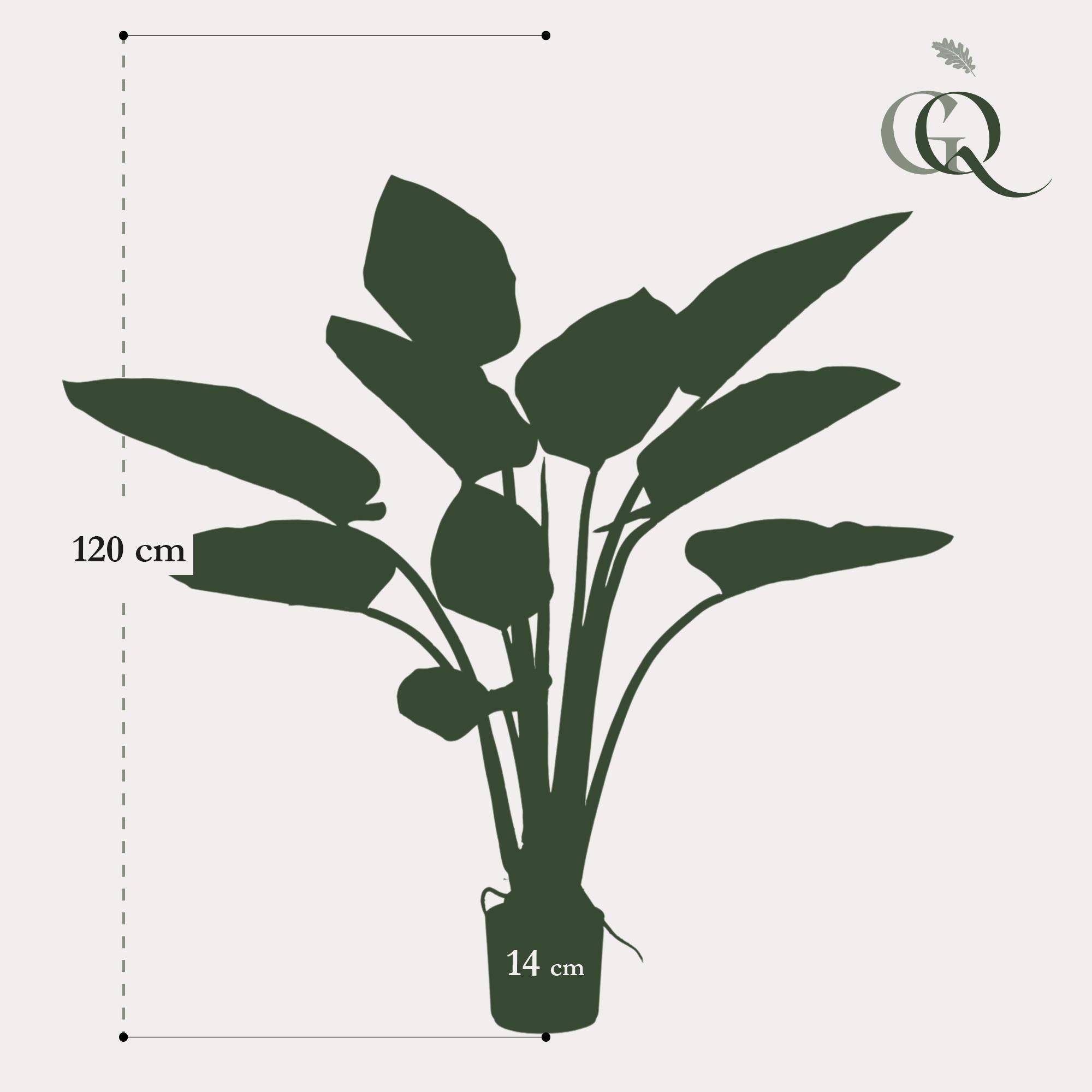 La Green Touch - Philodendron plante artificielle- h120cm, Ø14cm- La Green Touch - Imagen 4
