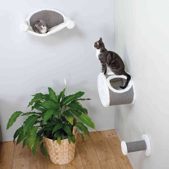 Barreau escalade ø 18 cm à fixer au mur. pour chat. - Image 2
