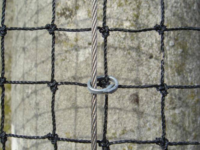 Maille Store - Filet anti-pigeons - Maille de 50mm Translucide 5m x 15m - Imagen 3