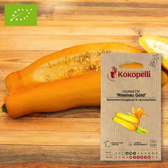 Graines bio à semer - Courgette Rheinau Gold- Association Kokopelli