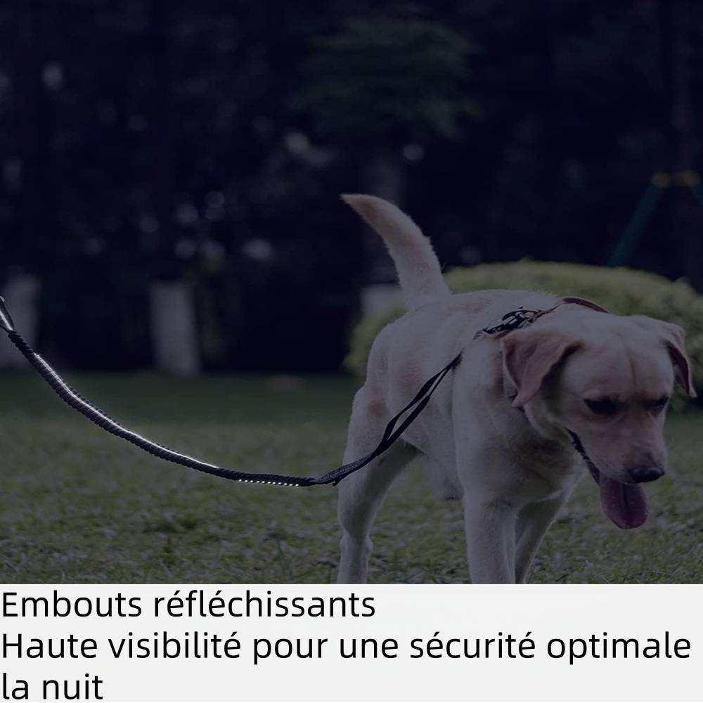 Laisse pour chien multi fonctionnelle - IntiMeg - Image 6