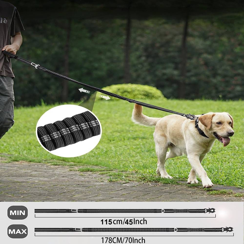 Laisse pour chien multi fonctionnelle - IntiMeg - Image 2
