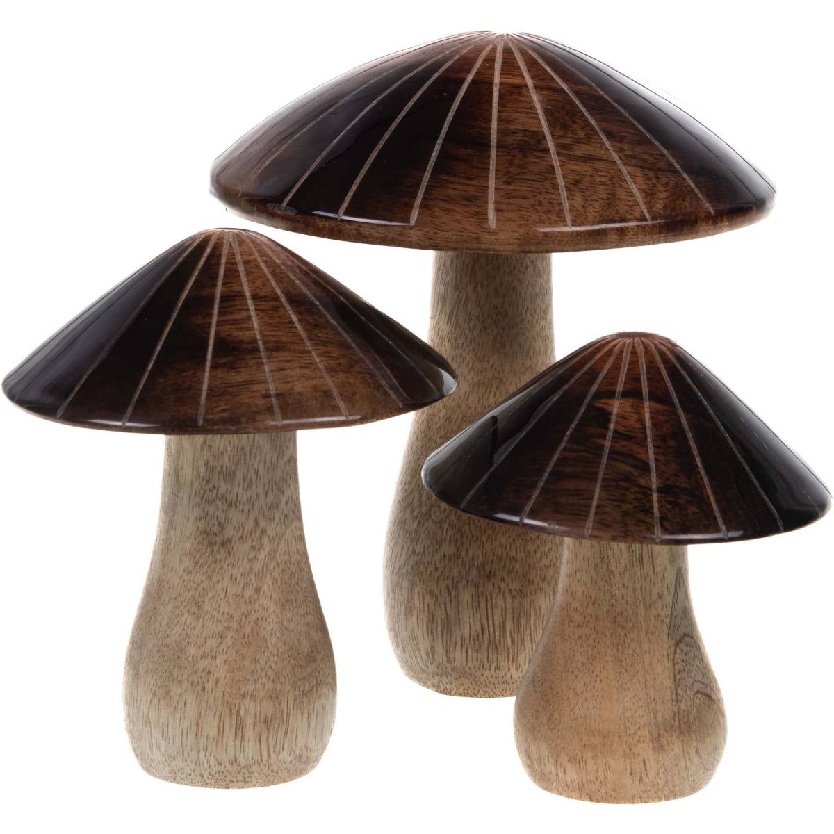Amadeus - Champignons décoratifs en bois de manguier (Lot de 3) - Imagen 1