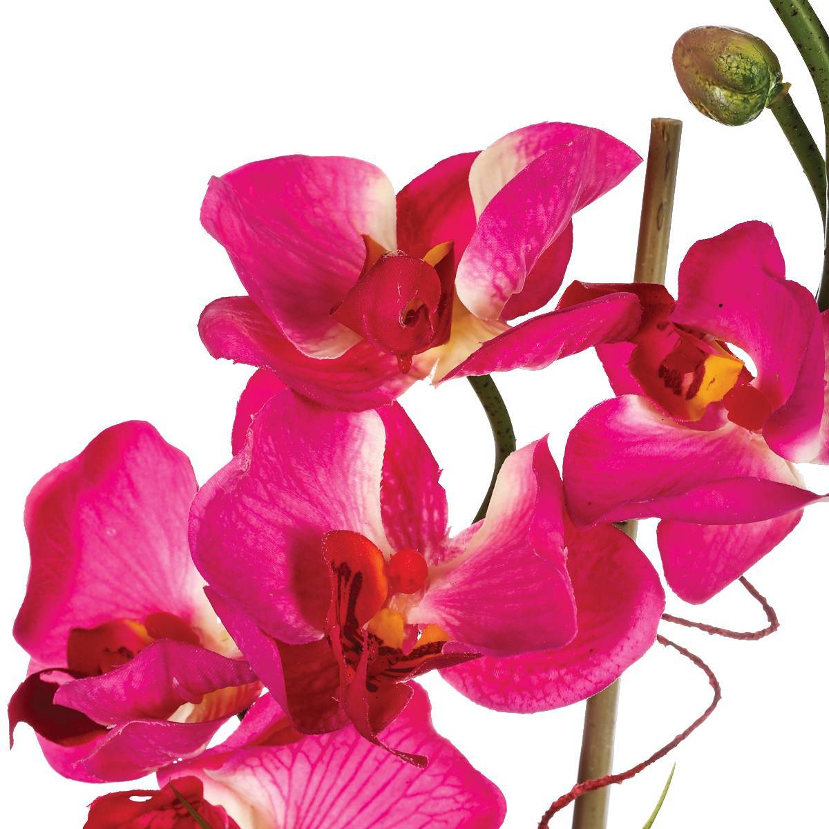 Atmosphera - Composition d'orchidées artificielles vase verre H37cm - Atmosphera Créateur d'intérieur - Imagen 3