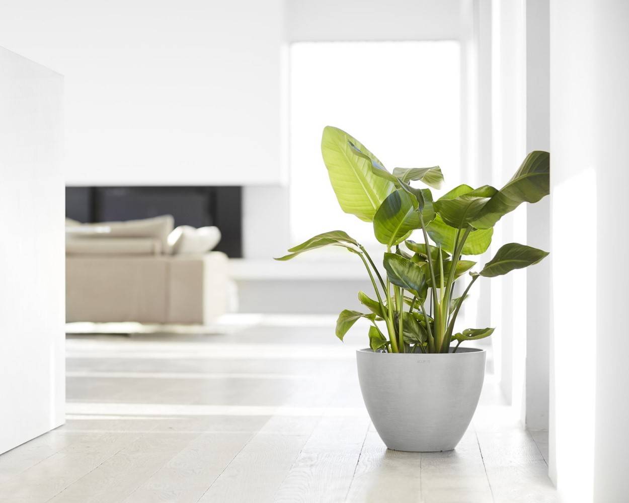 Ecopots - Pot Rond Antwerp 40 Blanc Gris - Ø 40 x H. 30 cm - 25 L ECOPOTS - Imagen 3