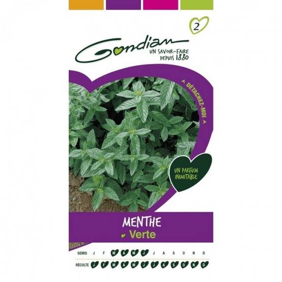 Gondian - Menthe Verte