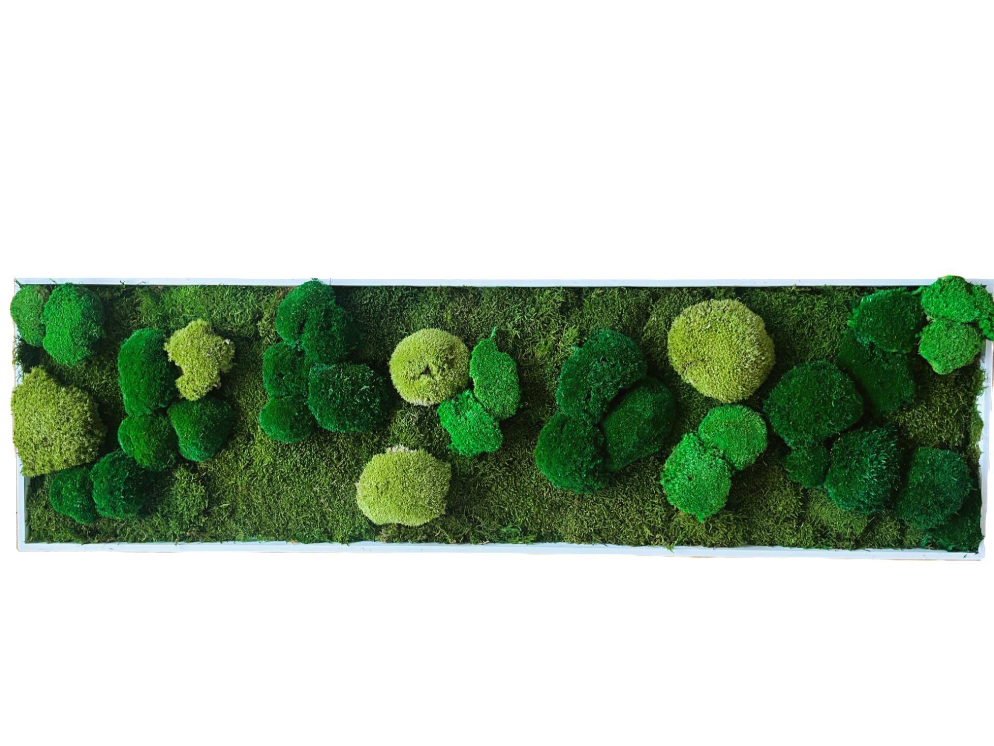 Tableau végétal stabilisé Trio de mousse boule vert- tableau végétal - décoration d'intérieur -140*40 cm - Image 1