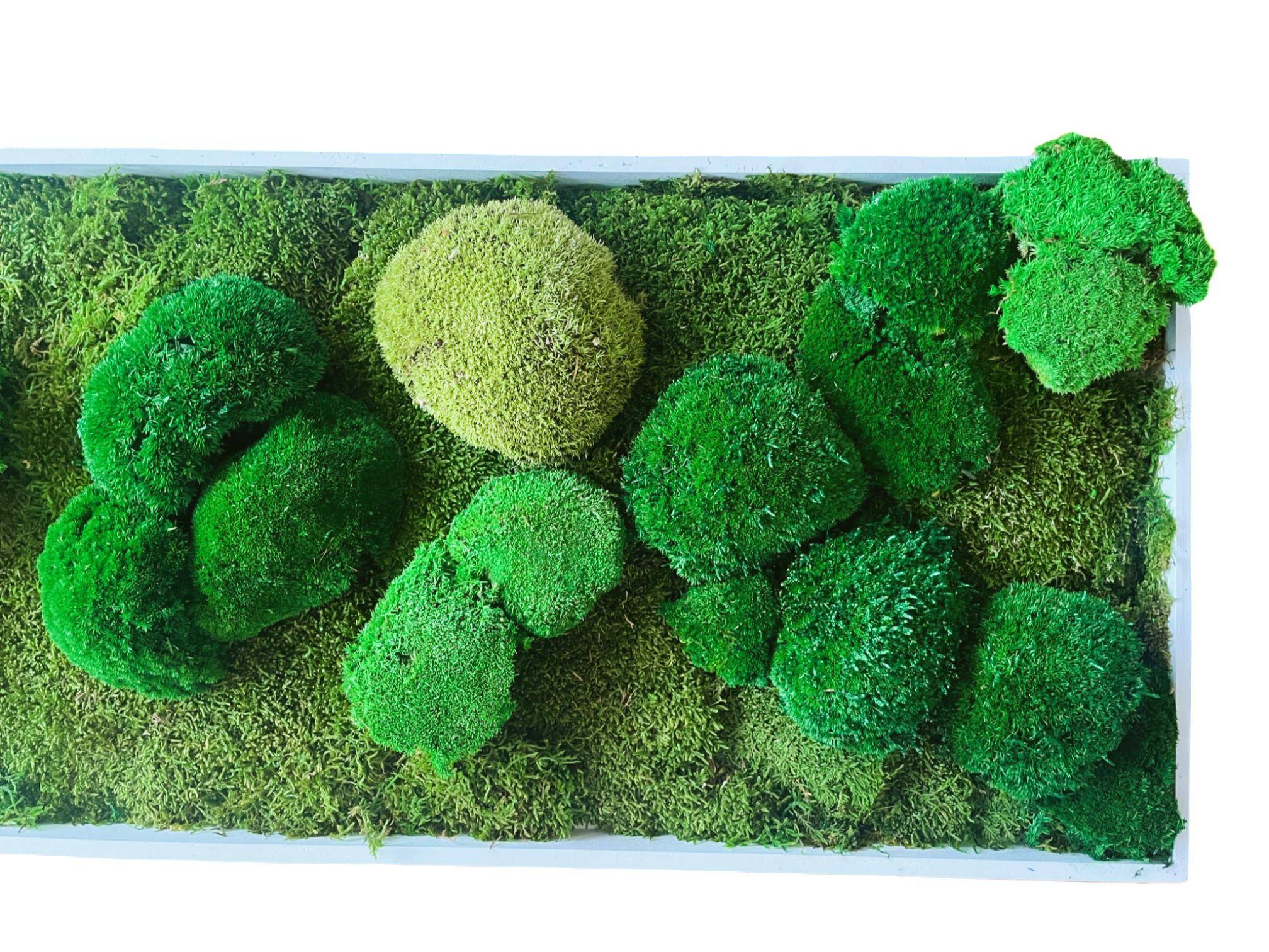 Tableau végétal stabilisé Trio de mousse boule vert- tableau végétal - décoration d'intérieur -140*40 cm - Image 2