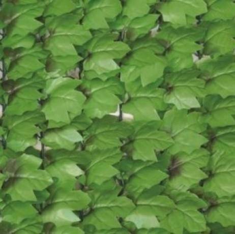 Haie artificielle feuillage Lierre, Long 33 m, Hauteur 1 m - Imagen 2