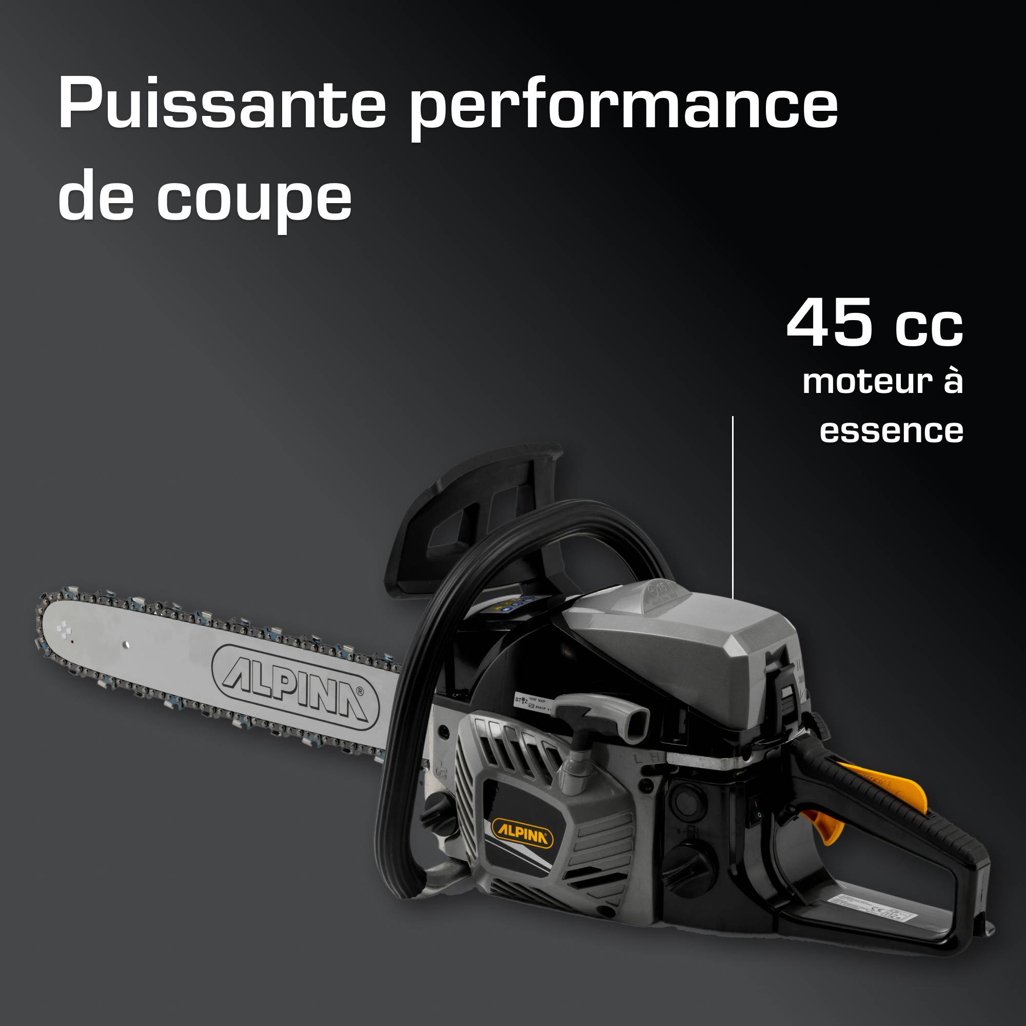 Alpina - Tronçonneuse ACS 46 (18"), Moteur à Essence 45cm³ (1,8kW), Guide-chaîne 45cm - ALPINA - Imagen 3
