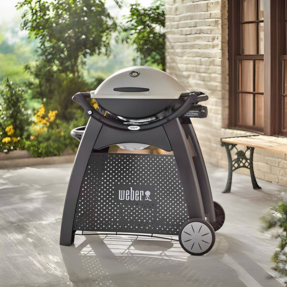 Weber - Chariot Deluxe pour barbecue série Q 2000 - Imagen 5