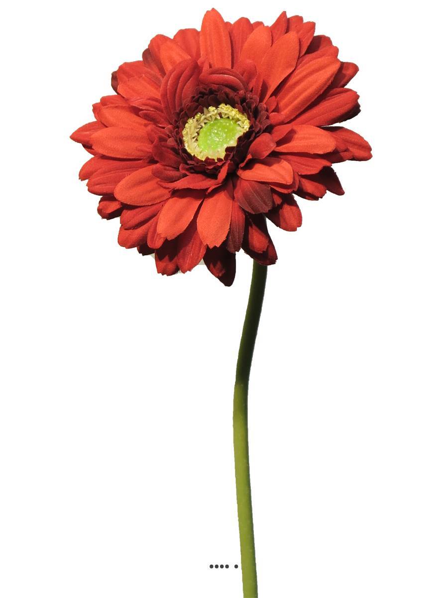 Artificielles - Gerbera artificiel, H 48 cm Rouge - BEST - couleur: Rouge - Imagen 2