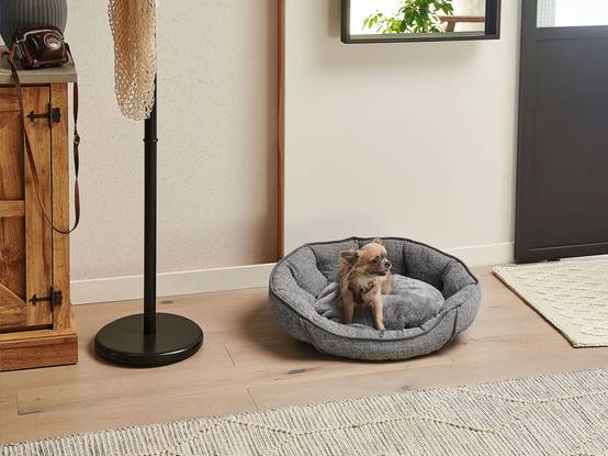 Beliani - Lit pour animal Lin Gris CANDIR - 60x50x16- Beliani - Image 1
