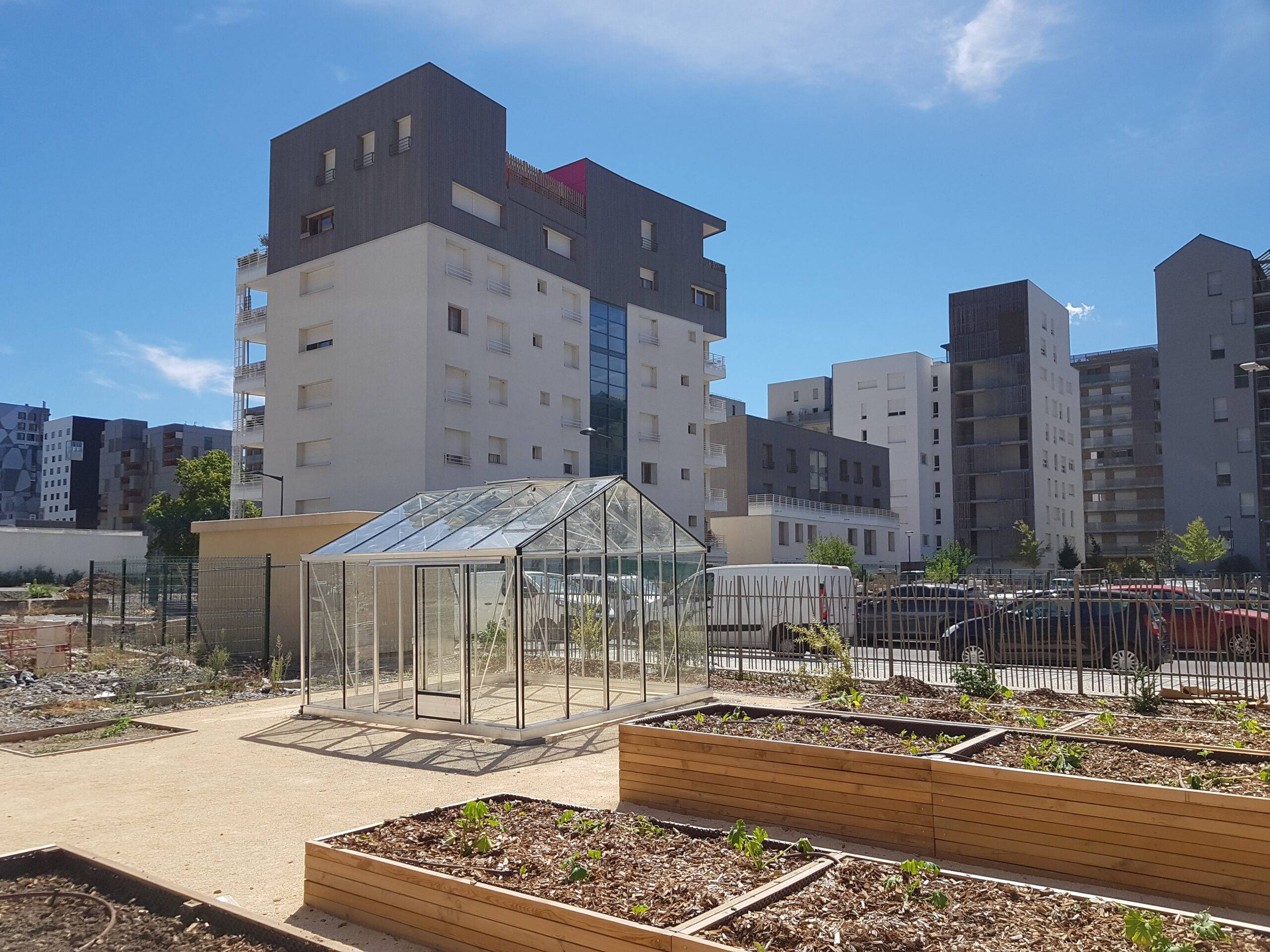 30m²  -  Serre en polycarbonate 8 mm alvéolés  - Euro Plus - Alu - 30m² - ALUMINIUM - L'atelier Des Serres - Imagen 3