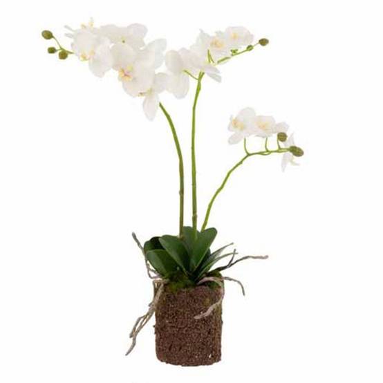J-Line - Fleur Artificielle Déco "Orchidée en Terre" 54cm Blanc - Image 1