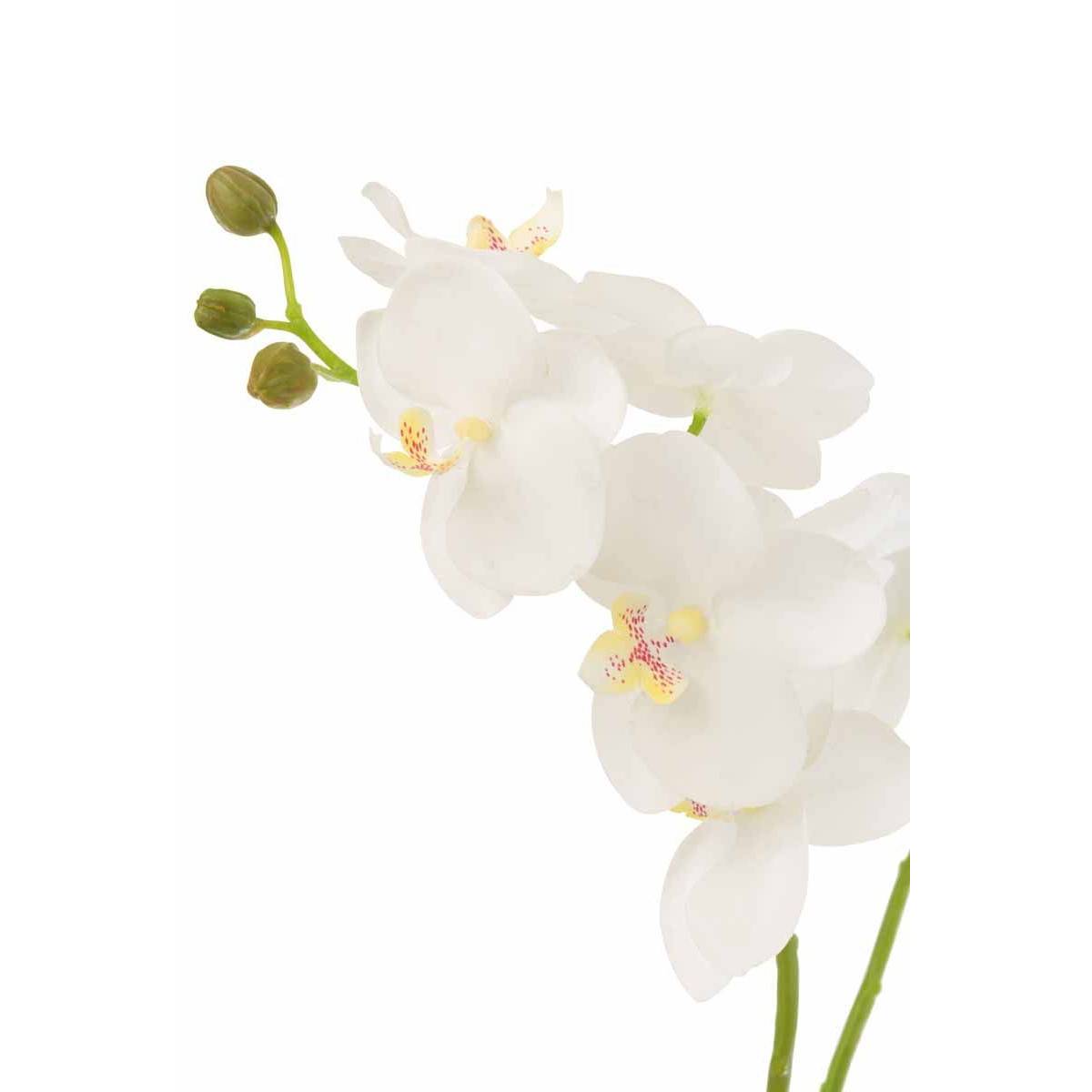 J-Line - Fleur Artificielle Déco "Orchidée en Terre" 54cm Blanc - Image 2